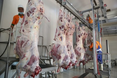  “Bu idarəetmə ilə qiymətlər sabit qala bilməz” – Bahalaşmayan bir ət qalmışdı…