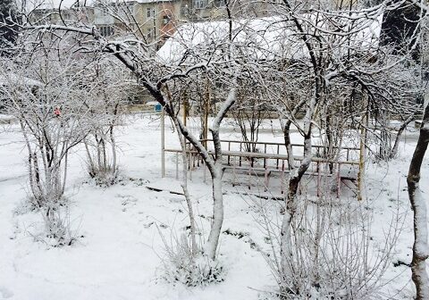 Sabah qar yağacaq – 10 dərəcə şaxta olacaq