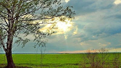 Şənbə gününün hava proqnozu açıqlandı