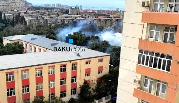 Bakıda şamlıq ərazidə yanğın: ağaclar məhv edilir – VİDEO