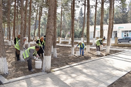 Şirvan şəhəri ərazisində iməclik təşkil olunub