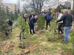Nəsimidə ağacəkmə aksiyası keçirildi – Fotolar
