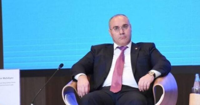 Gömrükdə baş verən özbaşınalıqlara nə vaxt son qoyulacaq? — Səfər Mehdiyev sahibkarları Prezidentə qarşı çevirir (VİDEO)