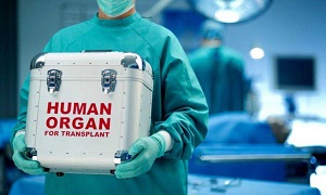 Azərbaycanda donor bankı yaradıldı