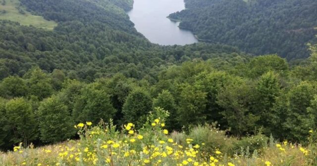 Milli parklarda “açıq qapı” günü keçiriləcək