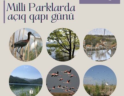 22 may milli parklarda “açıq qapı” günü keçiriləcək
