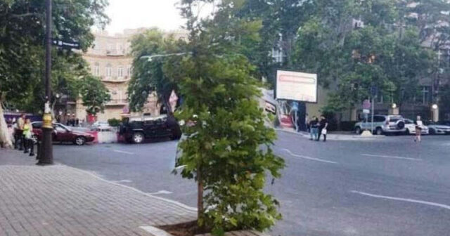Bakıda qanunsuz parkinqin yerində ağac əkilib