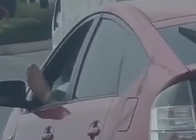 Bakıda ayağını pəncərədən çıxaran “Prius” sürücüsü həbs edildi – VİDEO