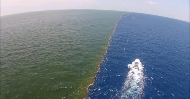 Atlantik okeanında dünyada interneti kəsə biləcək uçqun aşkarlandı