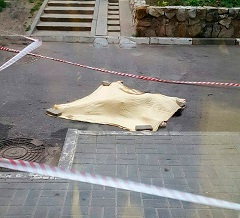 Bakıda fəhləni tikintidən itələyərək ölümünə səbəb olan şəxs həbs olundu