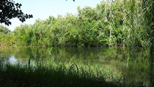 Azərbaycanda ilk dəfə yaranan milli parklara bu gün giriş pulsuzdur