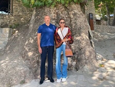 Mehriban Əliyeva Basqal qəsəbəsindən paylaşım edib – FOTO