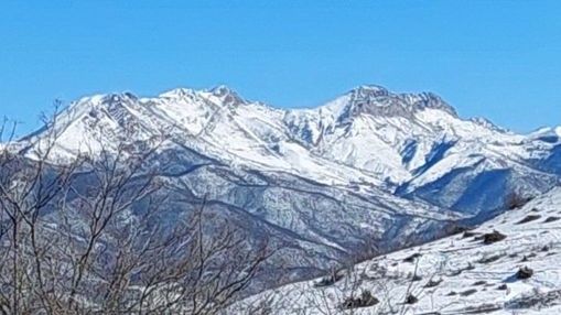 Ordumuzun ötən gün nəzarətə götürdüyü Sarıbaba dağı – FOTO