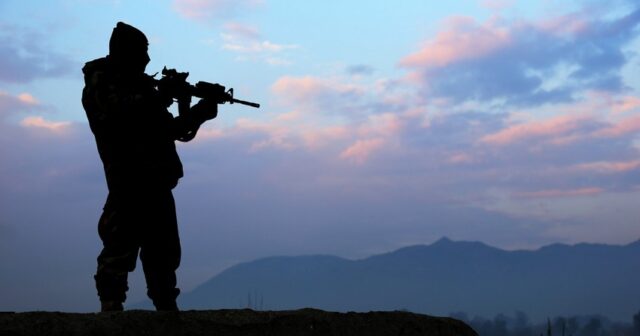 Azərbaycanda sentyabrdan ov mövsümü açıla bilər