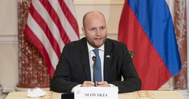 Slovakiyanın müdafiə naziri: “Vladimir Putin devrilə bilər”