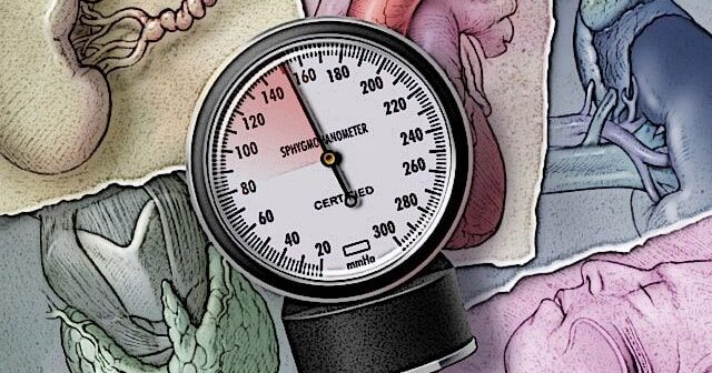 İnsanda neçə növ təzyiq olur? – Təkcə ürəkdən deyil
