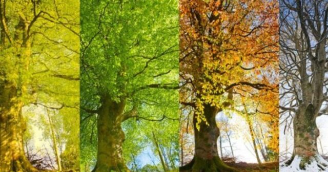 Gələn il fəsillərin Azərbaycana daxilolma vaxtları açıqlandı