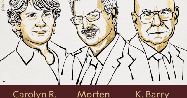 Kimya üzrə Nobel mükafatının laureatlarının adları açıqlanıb
