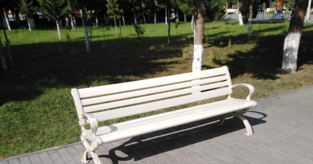 Sumqayıtda müxtəlif xəstəliklərə səbəb olan oturacaqlar niyə yığışdırılmır? – FOTOLAR