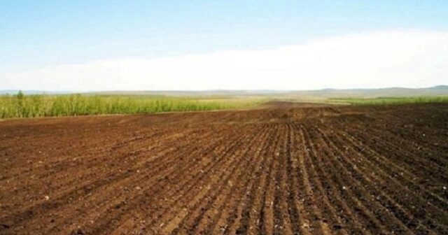 QARABAĞDA TORPAQ İSLAHATI BELƏ APARILSA QAYIDIŞDA CİDDİ PROBLEM OLACAQ… – İQTİSADÇI AÇIQLADI