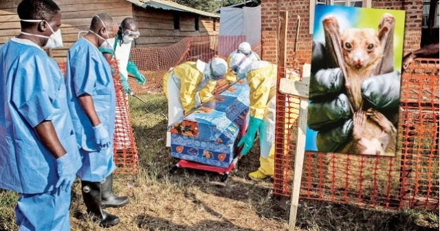 Müalicəsi olmayan virus epidemiyaya çevrildi! – Səkkiz yeni yoluxma
