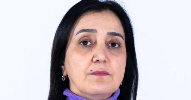 Tanınmış jurnalist mətbuat katibi təyin olundu