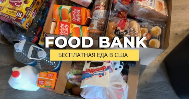 QİDA BANKLARI… AZƏRBAYCANDA BELƏ BANKLAR NİYƏ MÖVCUD DEYİL?
