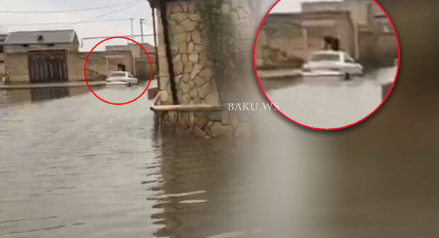 Bakıda tragikomik olay: Əlacsız sürücü maşının üstünə çıxdı – VİDEO