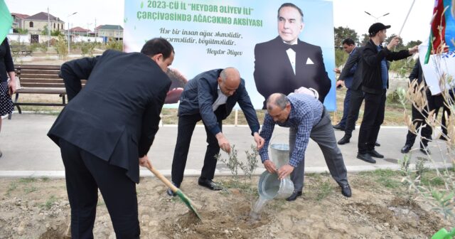 Şirvanda Heydər Əliyevin anadan olmasının 100 illiyinə həsr olunmuş növbəti ağacəkmə aksiyası keçirilib