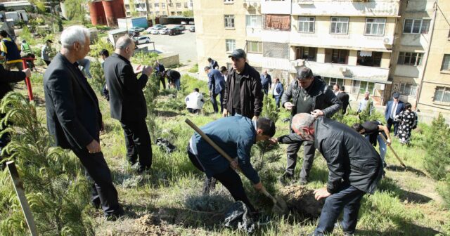 Xətai rayonunda növbəti ağacəkmə aksiyası keçirilib