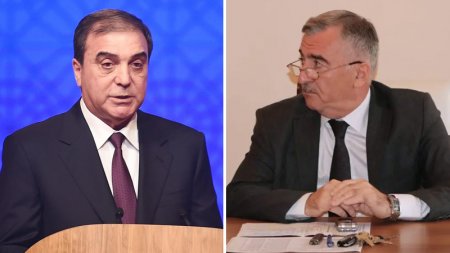 Gəncə İH-nin tender verdiyi “Safari” MMC kimindir? – Qoz ağacından bel, dırmıq sapı, balta…