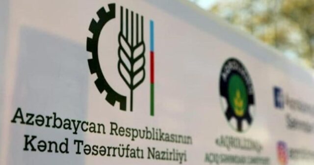 Nazirliyin vəzifəlisi 122 min mənimsəməkdə ittiham olunur
