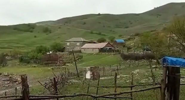 Qubada canavarlar kəndə hücum etdilər – VİDEO