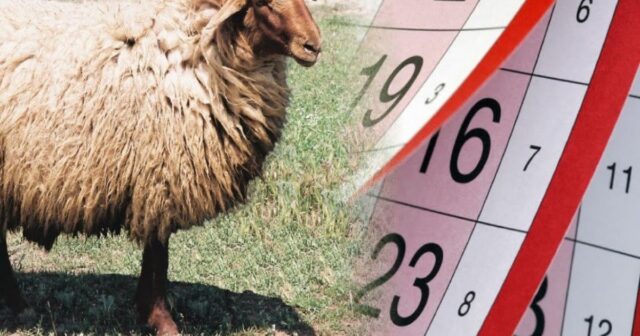 İyunda Qurban bayramıdır – Neçə gün iş olmayacaq?