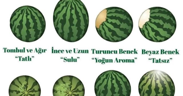 QARPIZI BİR DƏ BELƏ SEÇİN… AĞ LƏKƏLİ DADSIZ, İNCƏ UZUN QARPIZ İSƏ…