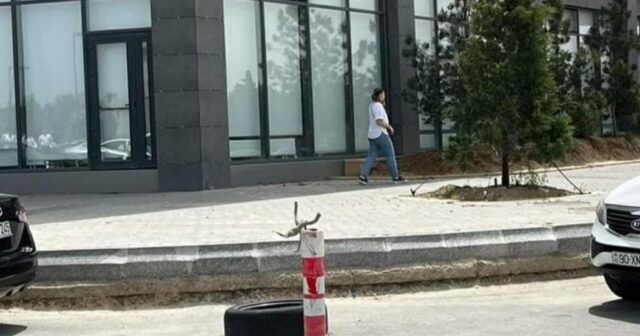 MƏKTƏB YOLUNDA BÖYÜK TƏHLÜKƏ… FOTO