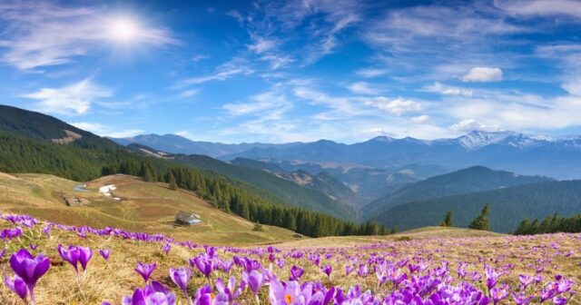 Sabah havanın temperaturu 25 dərəcəyədək artacaq