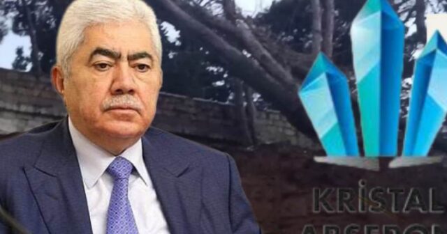 DEPUTATIN ŞİRKƏTİ HEYDƏR ƏLİYEV ADINA PARKDA AĞACLARI KƏSİB – VIDEO