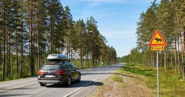 Finlandiyada sürət həddini 30 km aşan şirkət sahibi…