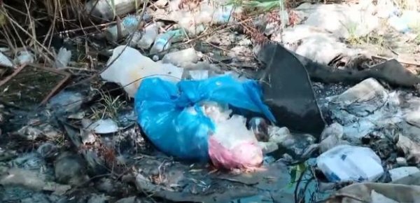 Sumqayıtda “Acı dərə” kanalının yaratdığı çətinlik, ətrafı bürüyən üfunət iyi – VİDEO