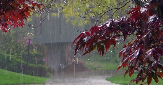 Sabahdan hava pisləşir – Xəbərdarlıq