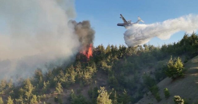 Qəbələdə dağlıq ərazidə yanğın başladı: Helikopter cəlb olundu