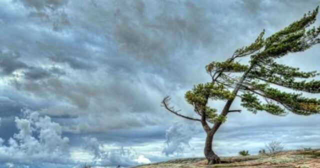 Temperatur 5-8 dərəcə aşağı enəcək – Xəbərdarlıq