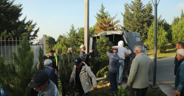 Xətaidə ümumrayon iməciliyi və ağacəkmə aksiyası keçirilib