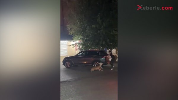 Sumqayıtda sahibsiz itlər şəhər sakininə hücum etdi – HADİSƏ ANI (VİDEO)