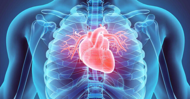 40 yaşdan yuxarı kişilərin NƏZƏRİNƏ – Bu əlamətlər varsa infarkt ola bilərsiz