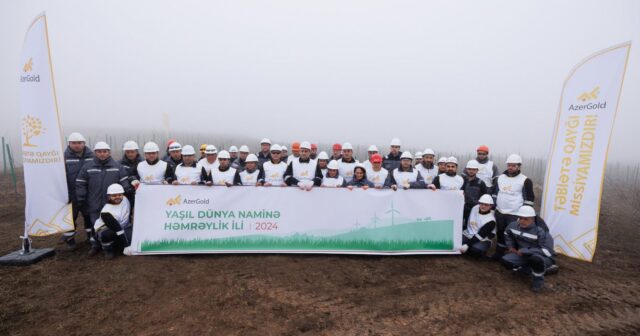 “Çovdar” qızıl yatağının ətrafında növbəti ağacəkmə aksiyası keçirilib
