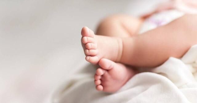 Sumqayıtda xəstəxananın həyətində körpə meyiti aşkarlandı
