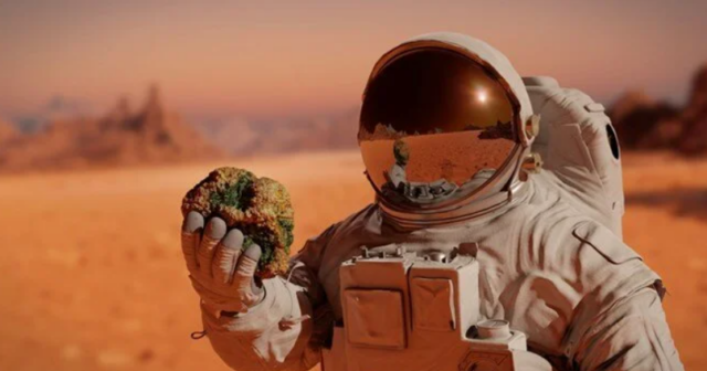 NASA kosmosda böyüyən mutant bakteriyaları kəşf etdi, bəs insanlara zərəri varmı?