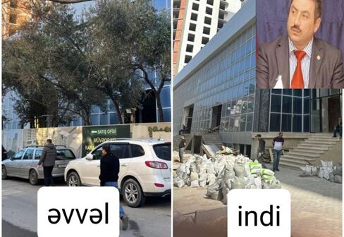 Nərimanovda “Yaşıl dünya ili”nə qarşı cinayət – bələdiyyə sədri ağacları qətl etdi-FOTOLAR